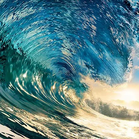 Color Sea Sunny Center アパート サニービーチ